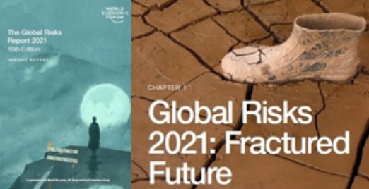 Global Risks 2021